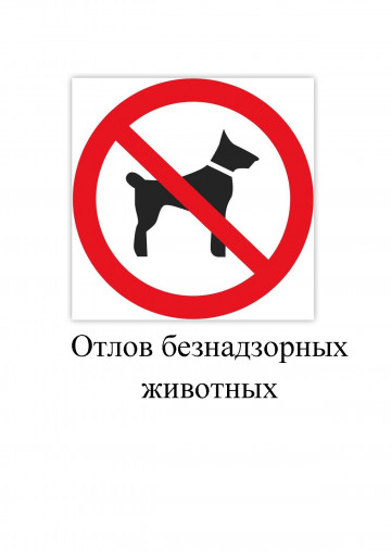 Отлов безнадзорных животных